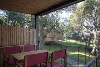 Wood Mood Lodges - Cristelo - 1