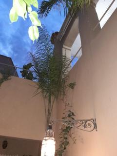 Dar Chamss - Taroudant - 1