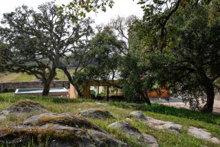 Wood Mood Lodges - 4