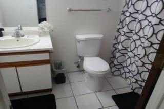 Bright Tucson Retreat - Modern, Cozy, Near U of A - Tucson - 4