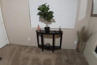 Bright Tucson Retreat - Modern, Cozy, Near U of A - Tucson - 1