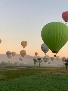 Egypt Villa Garden - 8