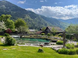 Appartement Alte Schmiede - Dorfgastein - 9