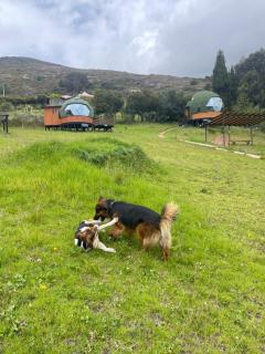 Glamping Brillo de Luna - Guatavita - 2