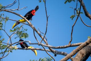 Casa Oh - Oceanview Guesthouse - 5