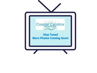 SNH174 Twisted Pelican - Nags Head - 5
