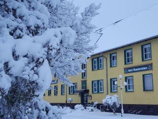 Hotel Wandersleben - Erfurt - Wandersleben - 8