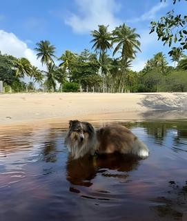 Casa de Luxo de Morro de São Paulo - 5