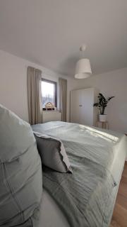 Ferienwohnung Pöhlwasserblick - Pöhla - 9