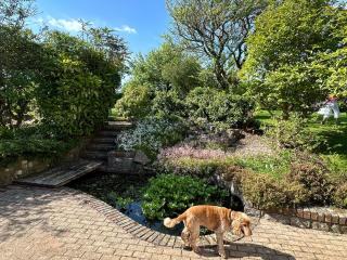 Hael Farm Cottage - Swansea - 4