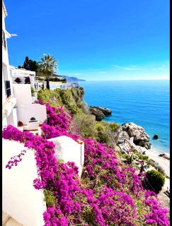 Hibiscus69 - Capistrano - Nerja - 3