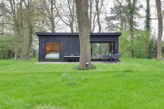 The Woods - Luxury cabin in a woodland setting - Hatfield Broad Oak - 5