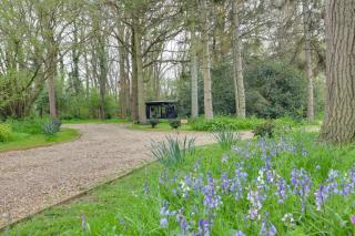 The Woods - Luxury cabin in a woodland setting - Hatfield Broad Oak - 2