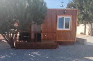 Catshouse - Carqueja - 8