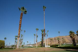 Villa L'Esquina - Palm Springs - 7