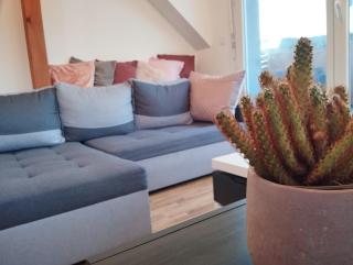 Escapade cosy dans T2 lumineux, proche Colmar - 9