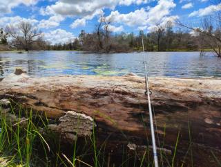 Rolling Oaks Ranch - 200 Acres of Lakeside Beauty & Countryside Serenity - Mariposa - 7