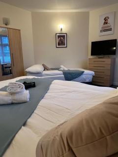Fabulous Garden Flat near Kings Cross St Pancras - Londra - 3