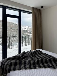 Chalet Panorama (Апартаменти) - Palyanytsya - 4