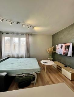 Charmant logement proche Paris - parking gratuit - 3