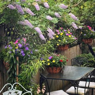 The Gaslamp Bed and Breakfast - Provincetown - 8