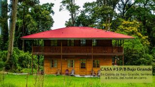 Los Quetzales Ecolodge & Spa - 2