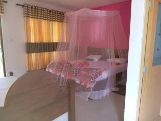 Nine Arch Araliya Homestay - Ella - 5