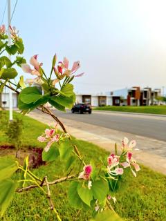 Sunset Nest - San Miguel - 8