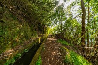 Oxford apartment Alpine escape villa - 5