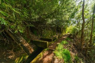 Oxford apartment Alpine escape villa - 4