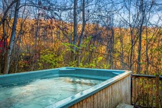 Smoky Mountain Chalet with Swim Spa- Theater- Pool Table- Pet Friendly - Gatlinburg - 9