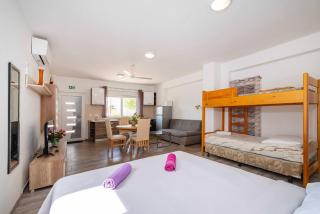 MY DALMATIA - Studio apartment Blagdan with private parking - 7