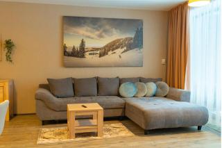 Fabulous Views Silver Mountain 3 Rooms Apartment - Poiana Brasov - 9