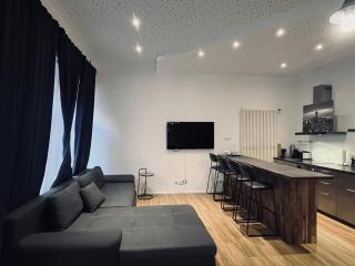 Loft directly next to Oktoberfest and downtown - 9