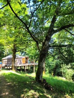 Gîte de France La yourte joulebois - Gîte de France 2 personnes MAE-6961 - Saillac - 7