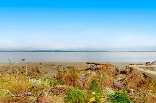Blue Heron - Lona Beach - 7
