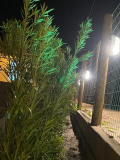 Recanto da Aurora - Casa 02 - Caraíva - 1