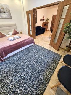 Moderní apartmán u Velkého náměstí 1, Wi-Fi a Netflix zdarma, koupelna s vanou - Hradec Králové - 6