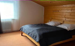 Pension Edelweiß Mitterberg - Mitterberg - 5