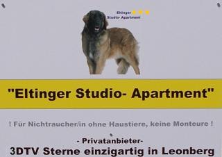 Eltinger Studio Apartment - Leonberg - 9