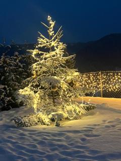 Chalet Tschattlhof Dolomites - 3