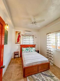 Frenz Mango Suites 3 - Soufriere - 2