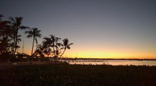 Coconut Palm Inn - 6