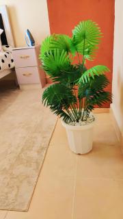 Reigns cozy corner - Eldoret - 7