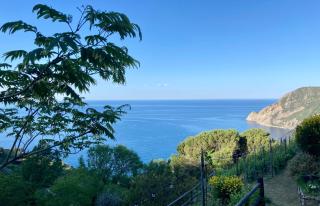 Villa Pietrafiore - Monterosso al Mare - 7