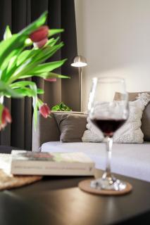 Modern house with private hot tub - Kołczewo - 4