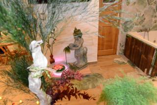 Jungle Spa - Cocon tropical et dépaysant avec balnéo en plein coeur de Pézenas ! - Pézenas - 7