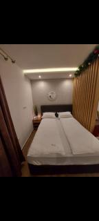 Apartman Čarolija, Sunčana planina - Kopaonik - 4