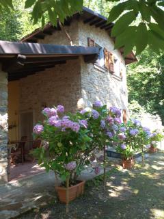 Chalet - Metato sulle Alpi Apuane - Mezzana - 8