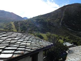 Résidence Trolle-soldanelle - Appartement 4 personnes fonctionnel MAE-7811 - Bonneval-sur-Arc - 4